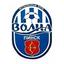 Volna Pinsk logo