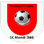 Steti logo