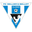 Vlasim logo