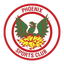 Phoenix Sports logo