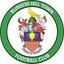 Burgess Hill logo