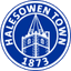 Halesowen logo