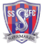 Swindon S logo