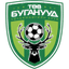 Central Stallions logo