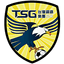 Taiwan Steel logo