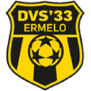 DVS '33 Ermelo logo