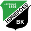 Honefoss logo