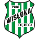 Wisloka Debica