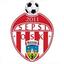 Sepsi Sf. Gheorghe logo