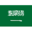 Saudi Arabia logo