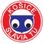 Slavia TU Kosice logo