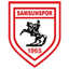 Samsunspor logo